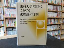 「法科大学院時代における法理論の役割」