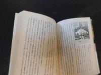 「世界の歴史　１３　絶対君主の時代」