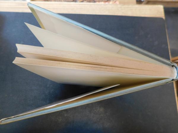 記号から形態へ」 現代絵画の主題を求めて(宇佐美圭司 著) / 古書猛牛 記号から形態へ」 現代絵画の主題を求めて(宇佐美圭司 著) / 古書猛牛