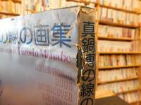「真鍋博の線の画集」
