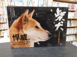 「柴犬」