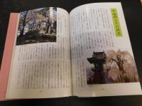 「甲斐路　ふるさとの名所」