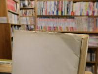 「北欧版　エロスの歴史 　第2巻 　中世と宮廷の時代」