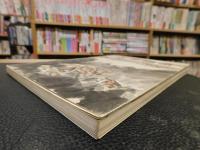 「水墨画譜」　花鳥篇・風景篇