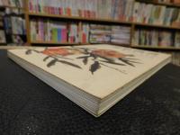 「墨彩画譜」　花鳥篇・風景篇