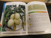 「熱帯の果実」