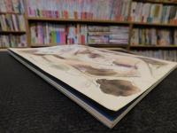 「安田火災東郷青児美術館　東郷青児作品集」