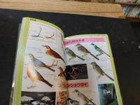 「野外観察図鑑　１０冊揃」