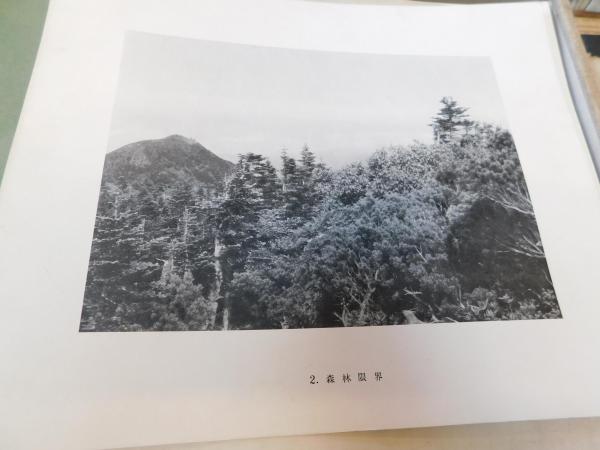 お手頃価格 高山植物写真図聚 弐」(武田久吉, 田辺和雄 共編) / 古本、中古 自然、風景