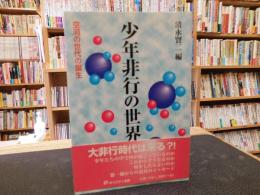 「少年非行の世界」　空洞の世代の誕生