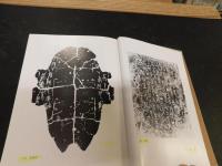 「白川静著作集　第2巻 　漢字 2」