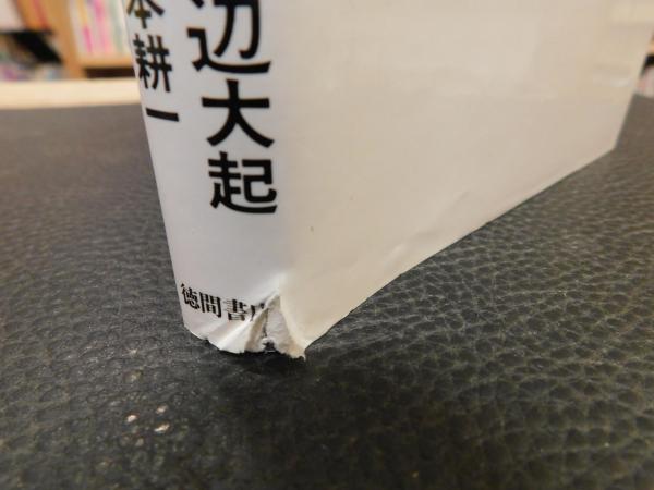 宇宙船 天空に満つる日」(渡辺大起, 山本耕一 著) / 古本、中古本、古