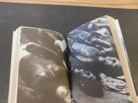 「犬の記憶・終章」