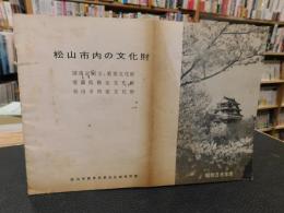 冊子　「松山市内の文化財　昭和３８年度」