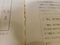 「国際結婚ガイドブック」　 国際家族の時代に向けて わかりやすいイラスト版