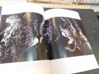 「現代陶芸・14人の尖鋭たち」　柳原睦夫と現代陶芸の尖鋭たち 　現代陶芸の系譜 : Tosa-Tosa2003