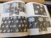 「日本の文様　９　牡丹」