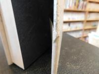 「小田実全小説　８　列人列景 　タコを揚げる 　炎と河」
