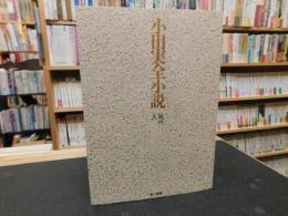 「小田実全小説　１０　風河 　玄」