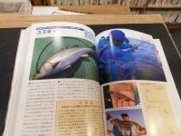 「海釣り 　決定版」　水中写真で魚の動きがわかる！