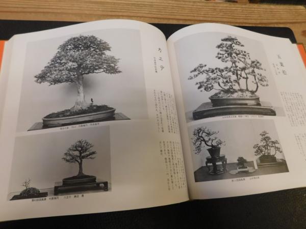 最新作売れ筋が満載 国風盆栽展 ☆ 第50回 5冊セット 第55回 第54回 第53回 第51回 趣味・スポーツ・実用