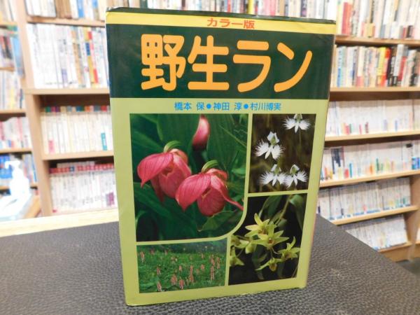 カラー版 野生ラン」(橋本保 ほか著) / 古本、中古本、古書籍の通販は