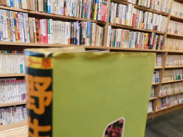 カラー版 野生ラン」(橋本保 ほか著) / 古本、中古本、古書籍の通販は
