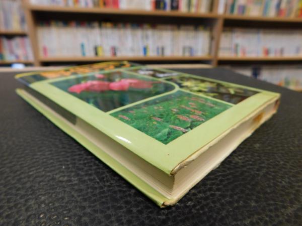 カラー版 野生ラン」(橋本保 ほか著) / 古本、中古本、古書籍の通販は