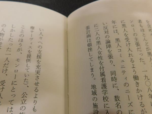 の個体形成　アフリカ　二〇世紀　南北アメリカ・カリブ・アフリカからの問い-