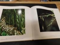 「竹の四季」　高間新治写真集