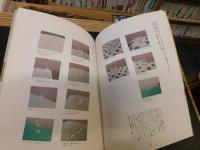 「別冊　Arne　うちで使っているキッチン道具」