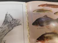 「男の釣魚料理」　釣魚料理の基本・全国名物魚介料理