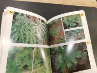 「検索入門　しだの図鑑」