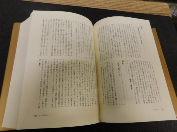 パリ地名大事典(ベルナール・ステファヌ 訳：蔵持 不三也