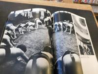 「相撲部屋」　別冊　相撲　緑陰号　昭和５０年７月
