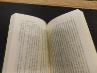 「魏晋南北朝通史　内編」