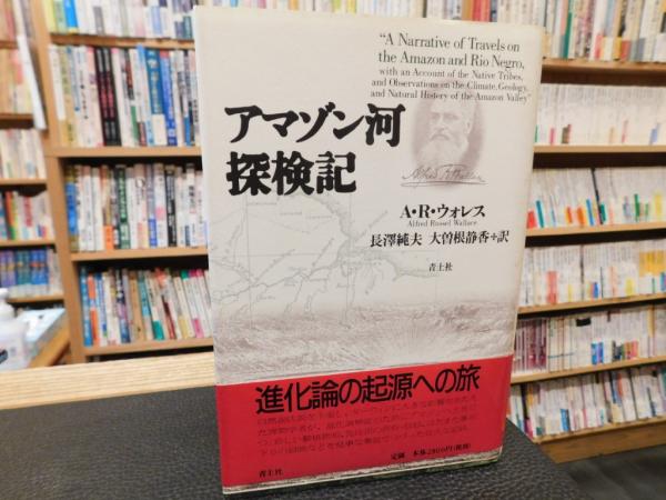 イラスト版国際結婚ガイドブック 国際家族の時代に向けて/明石書店/森木和美