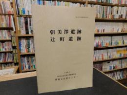 「朝美沢遺跡・辻町遺跡」