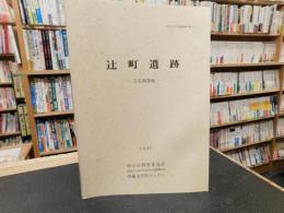 「辻町遺跡　2次調査地」