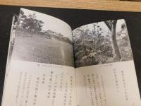「写真集　子規と松山」