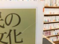 「非常民の民俗文化」　 生活民俗と差別昔話