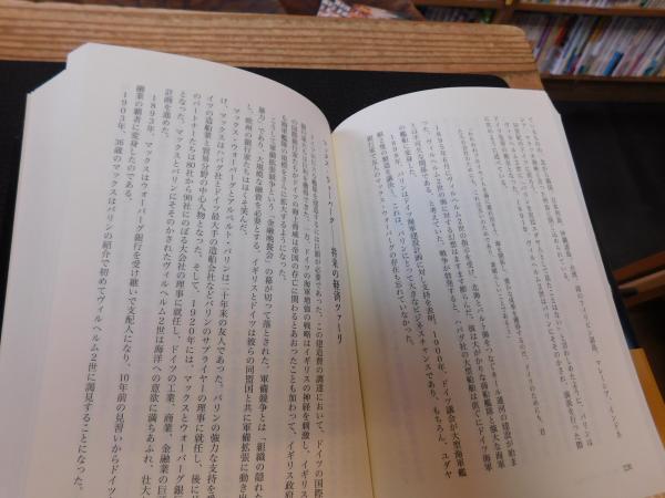 通貨戦争 影の支配者たちは世界統一通貨をめざす