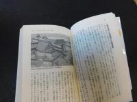 「城郭考古学の冒険」