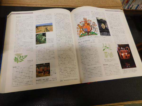 Color ANCHOR 英語大事典」 カラーアンカー英語大事典