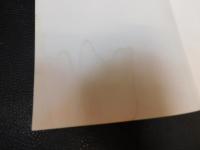 「金海龜山洞古墳」