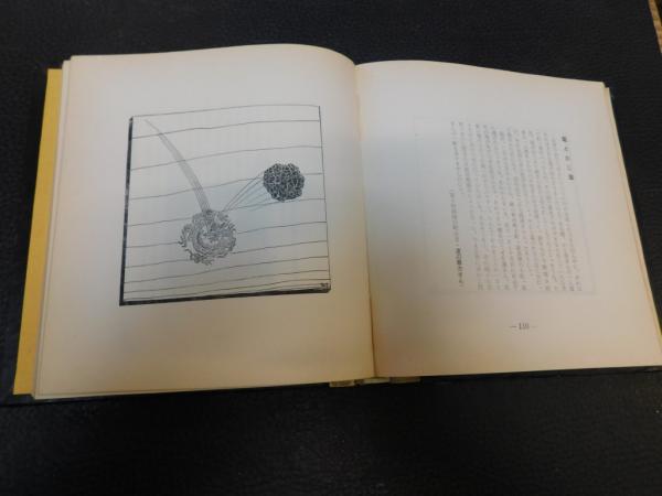 愛媛の昔語り」(真鍋博) / 古書猛牛堂 / 古本、中古本、古書籍の