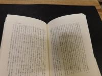 「雑書放蕩記」