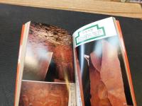 「装飾古墳」　 古代の旅 2