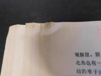 「魯迅研究資料　９」