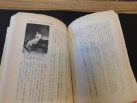 「昭和２０年１１月２３日のプレイボール」